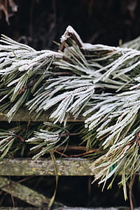 Winter freeze thumbnail