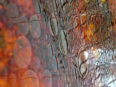 Abstract, Background, Oil, Painting, oil, painting, circles thumbnail