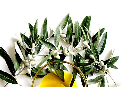 white and green leaf plant wall decor thumbnail