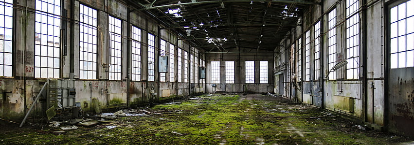 green moss inside room thumbnail