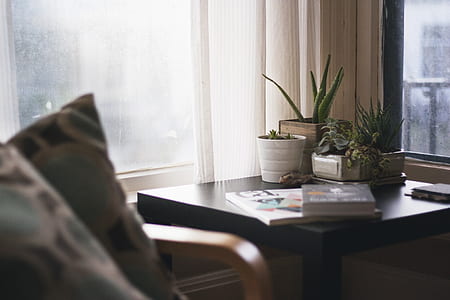 books on rectangular black wooden table near window still thumbnail