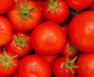 cherry tomatoes thumbnail