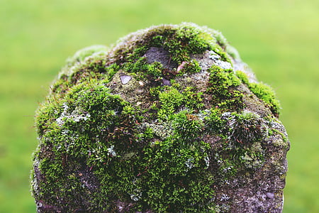 selective focus photo of brown stone thumbnail