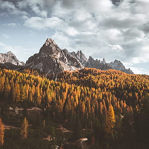 landscape photo of mountain thumbnail