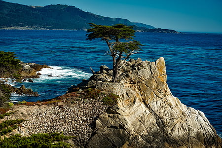 landscape photo of green leaf tree above the cliff thumbnail