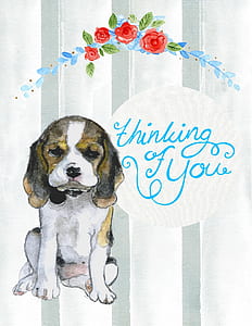 white and brown dog illustration thumbnail