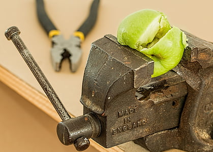 green fruit on black bench vise thumbnail