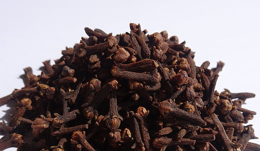 brown tree trunks thumbnail