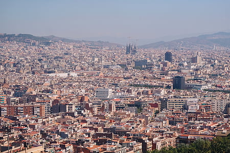 aerial photography of city thumbnail