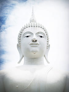 closeup photo of Buddha statue thumbnail