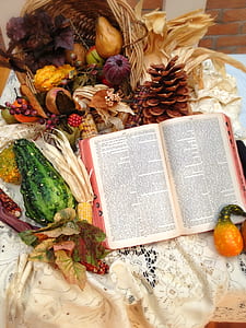 open book pages near at variety of fruits thumbnail