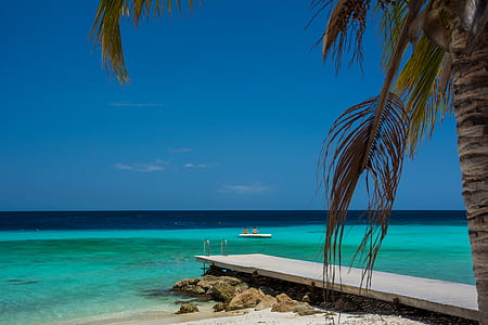 beach, holiday, vacation, caribbean thumbnail