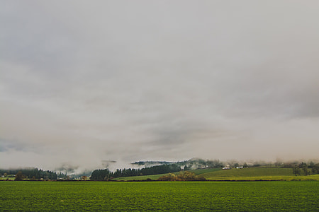 photo of grass field overlooking mountain thumbnail