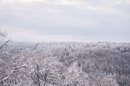 Winter snowy lanscape thumbnail