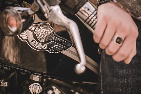 Harley-Davidson emblem thumbnail