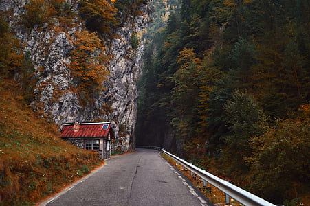 red and brown house beside asphalt road near mountain thumbnail