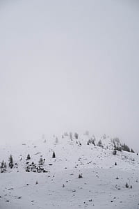 mountain covered with snow and trees thumbnail
