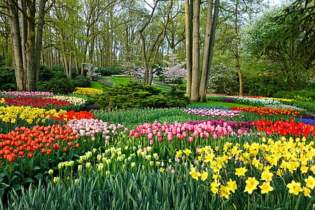 garden and forest painting thumbnail