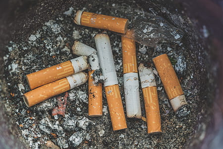 cigarette butts thumbnail