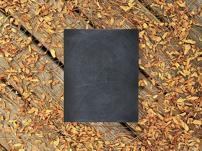 black box on wooden surface covered with leaves thumbnail