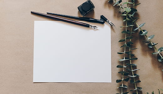 pen on blank paper sheet beside vines thumbnail