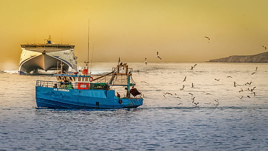 Blue Fishing Boat thumbnail