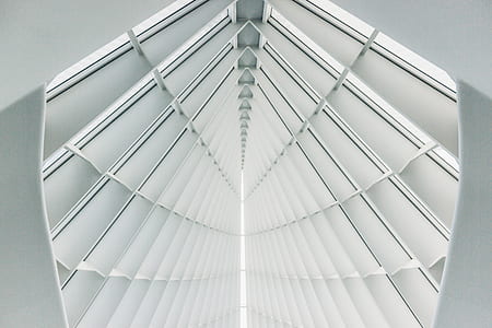 architectural photography of building's ceiling thumbnail