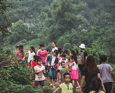 people and children walking in forest at daytime thumbnail