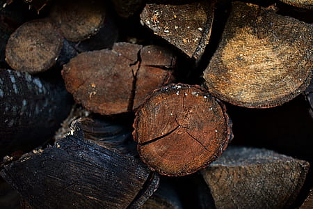 Stack of Wood Logs thumbnail