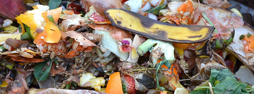 compost, fruit and vegetable waste, composting, banana peel, food, leaf thumbnail