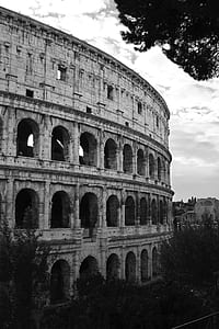 grayscale stadium and trees thumbnail