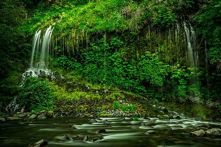 waterfalls surrounded by trees thumbnail