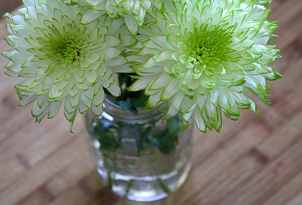 white-and-green flower center piece on vase thumbnail