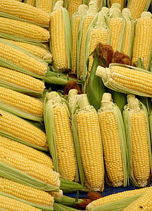 file of yellow corn lot thumbnail