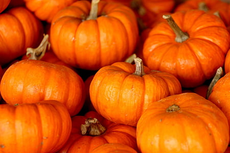orange pumpkins thumbnail
