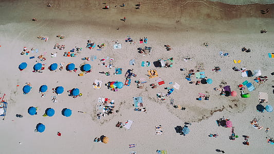 group of people staying on white sand beach thumbnail