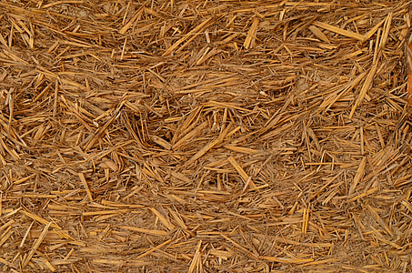 pile of haystack thumbnail