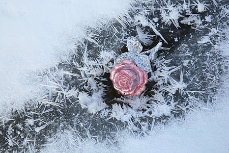 leann, winter, cold, frost, ice, white thumbnail