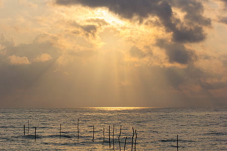 sticks on body of water during golden hour thumbnail