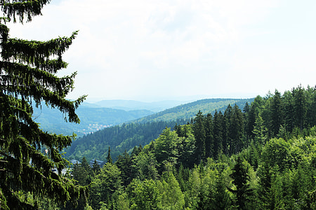 The Giant Mountains, Nature thumbnail