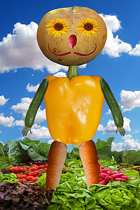 edited photo of vegetables formed as a person thumbnail