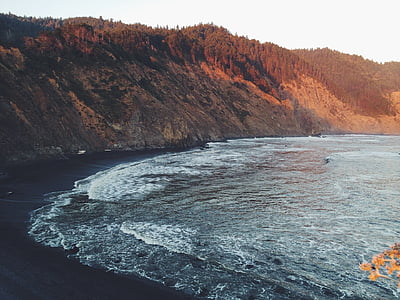 seashore near hills and trees thumbnail