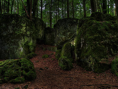 rocks covered by mossy thumbnail