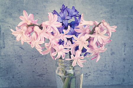 pink and purple flowers in clear glass vase thumbnail
