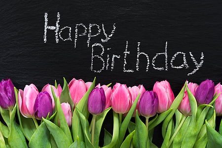 pink and purple tulips happy birthday illustration thumbnail