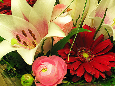 three assorted flowers thumbnail
