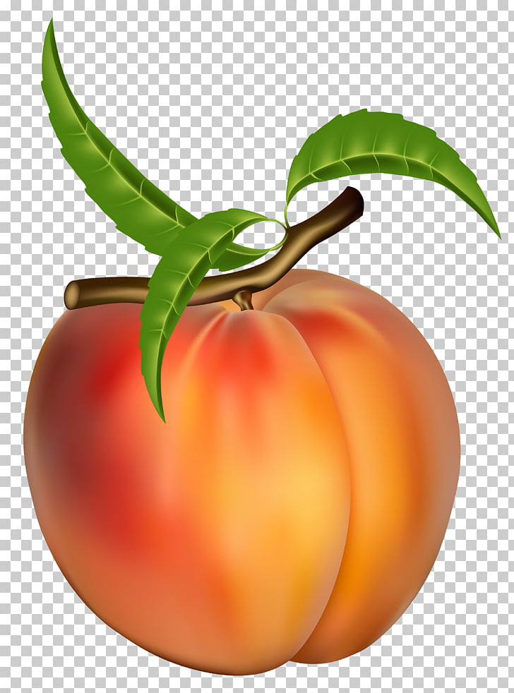 Peach Fruit Apricot , Peach Transparent , round red and orange fruit illustration PNG clipart