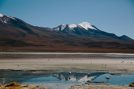 river across the mountain with snow cap thumbnail