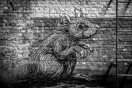sketch of mouse in wall thumbnail