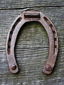 rusty brown horseshoe pinned on gray wood surface thumbnail